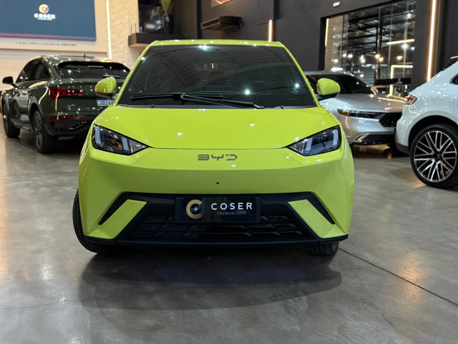BYD DOLPHIN EV GS (ELETRICO) 2025 - foto 2